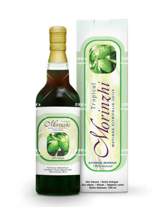 MORINZHI 700ML /  FB065 E